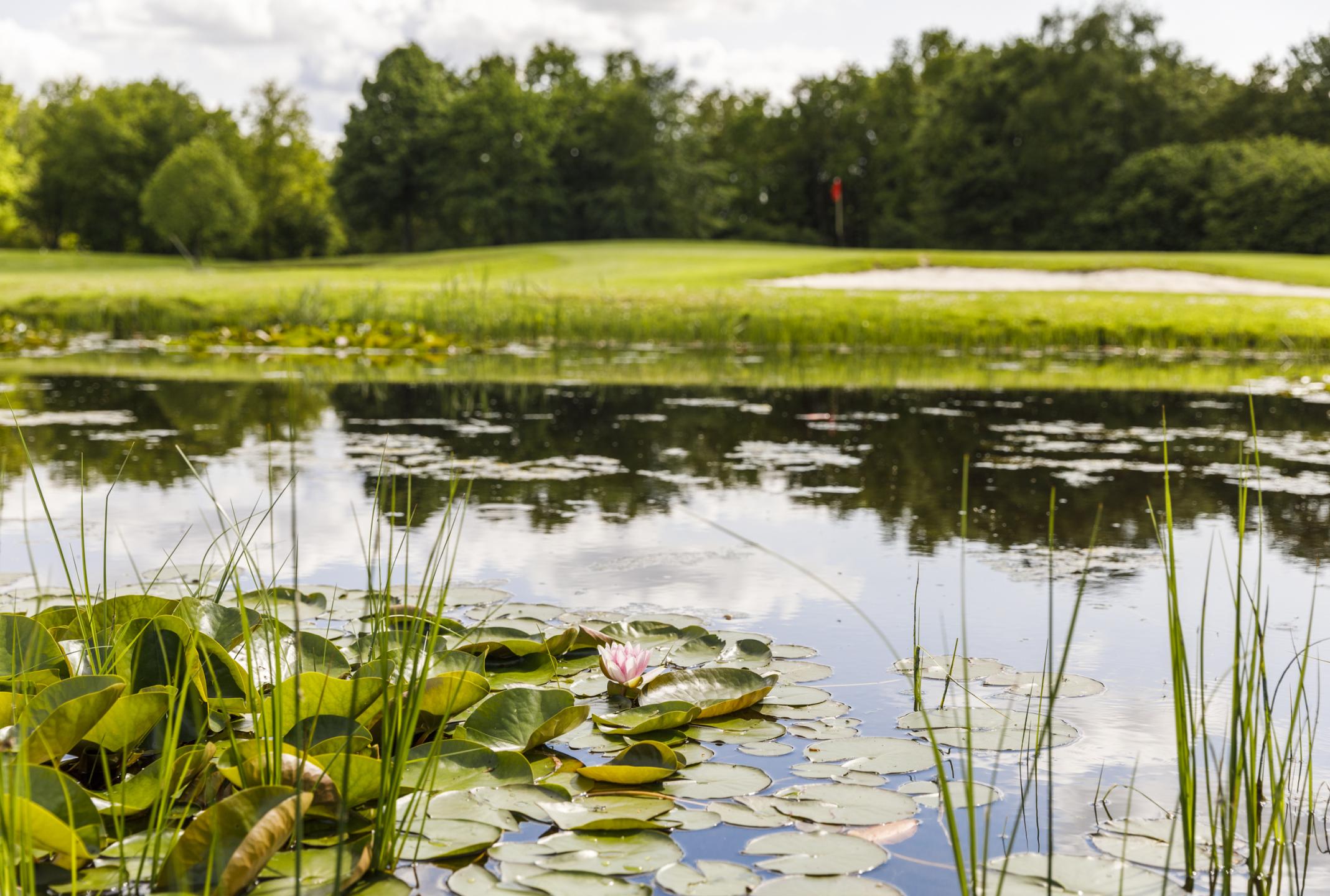 Woeste_Kop_C1A7492_024